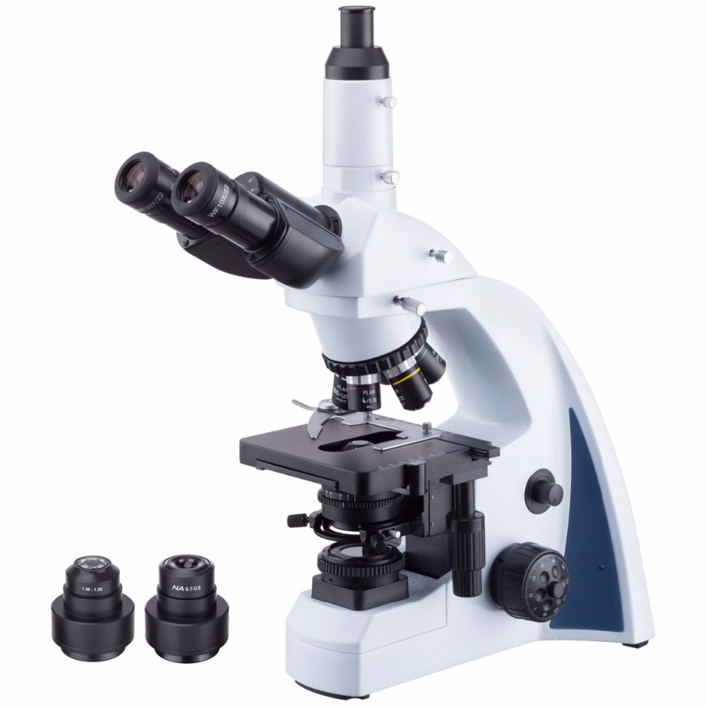 AmScope Microscopio compuesto  - Amscope Microscope Compound 40X-1000X reseña y precio