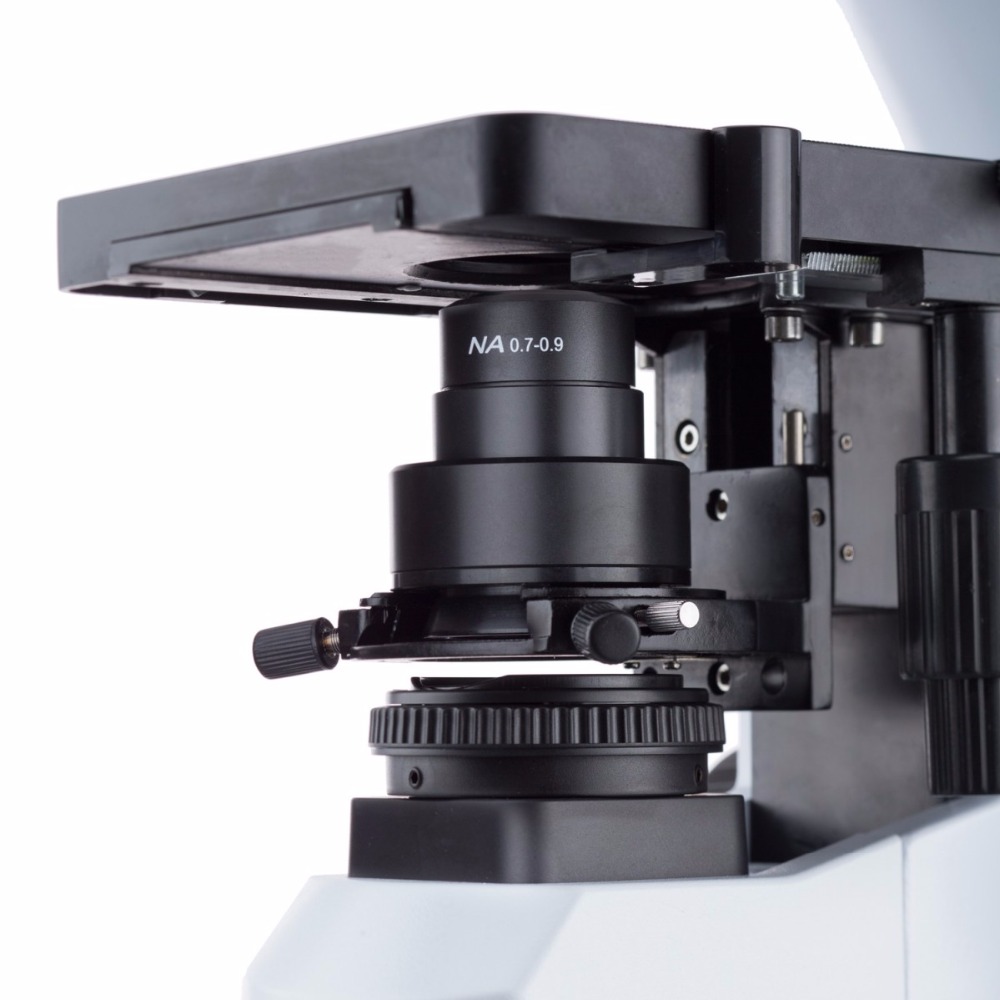 AmScope Microscopio compuesto  - Amscope Microscope Compound 40X-1000X reseña y precio