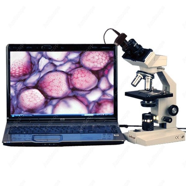 Microscopio Biológico Compuest - Amscope Microscope Compound 40X-1000X reseña y precio