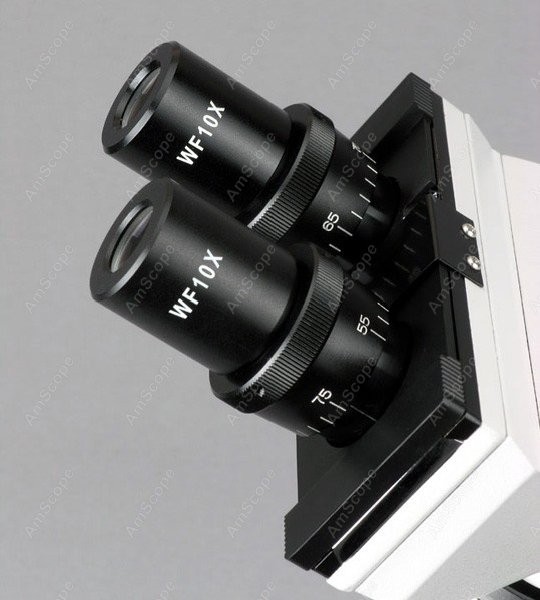 Microscopio Biológico Compuest - Amscope Microscope Compound 40X-1000X reseña y precio